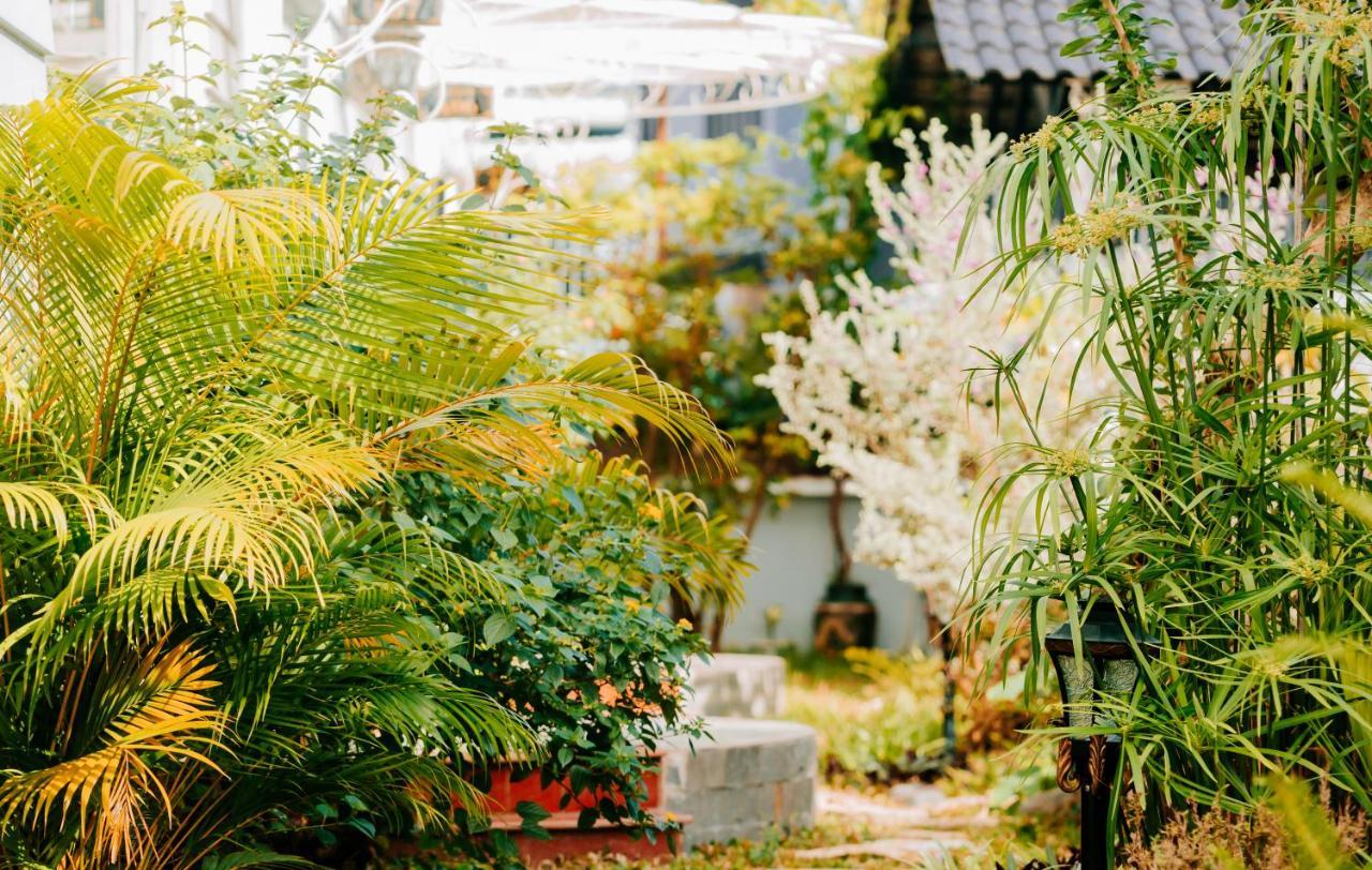 Window Homestay Kon Tum Exterior foto